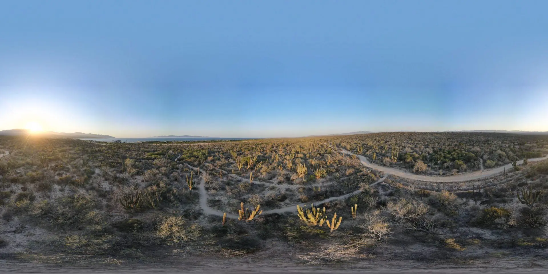 Camino en el desierto de Baja California