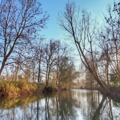 Canal del Marais Poitevin rodeado de árboles, con el sol filtrándose entre las ramas y reflejos en el agua.