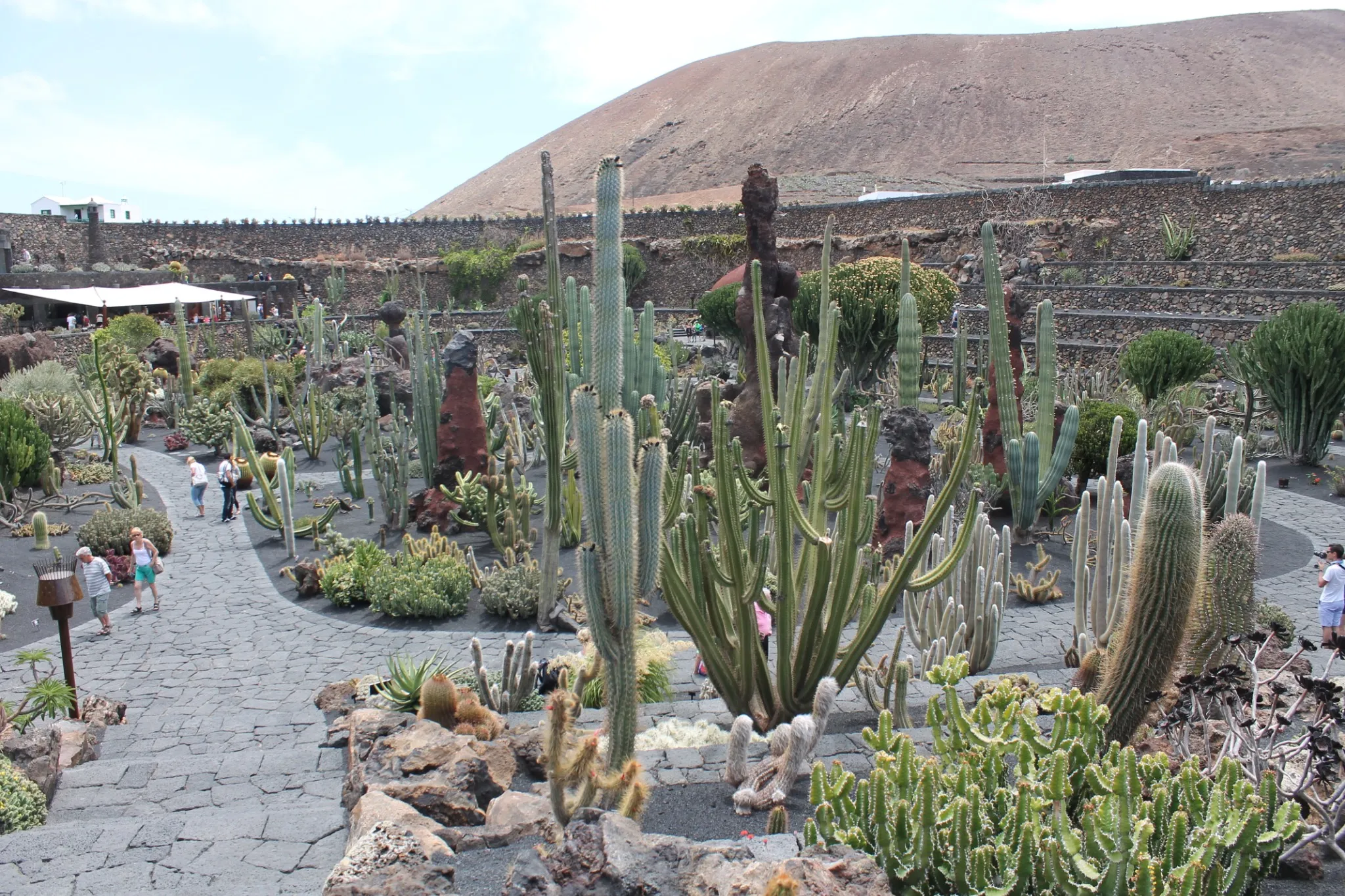 Vista general del Jardín de Cactus