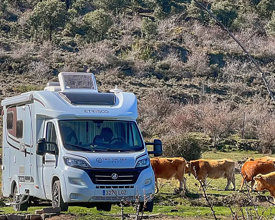 Soria: autocaravana de Two On Trip aparcada en un prado con vacas y montes al fondo